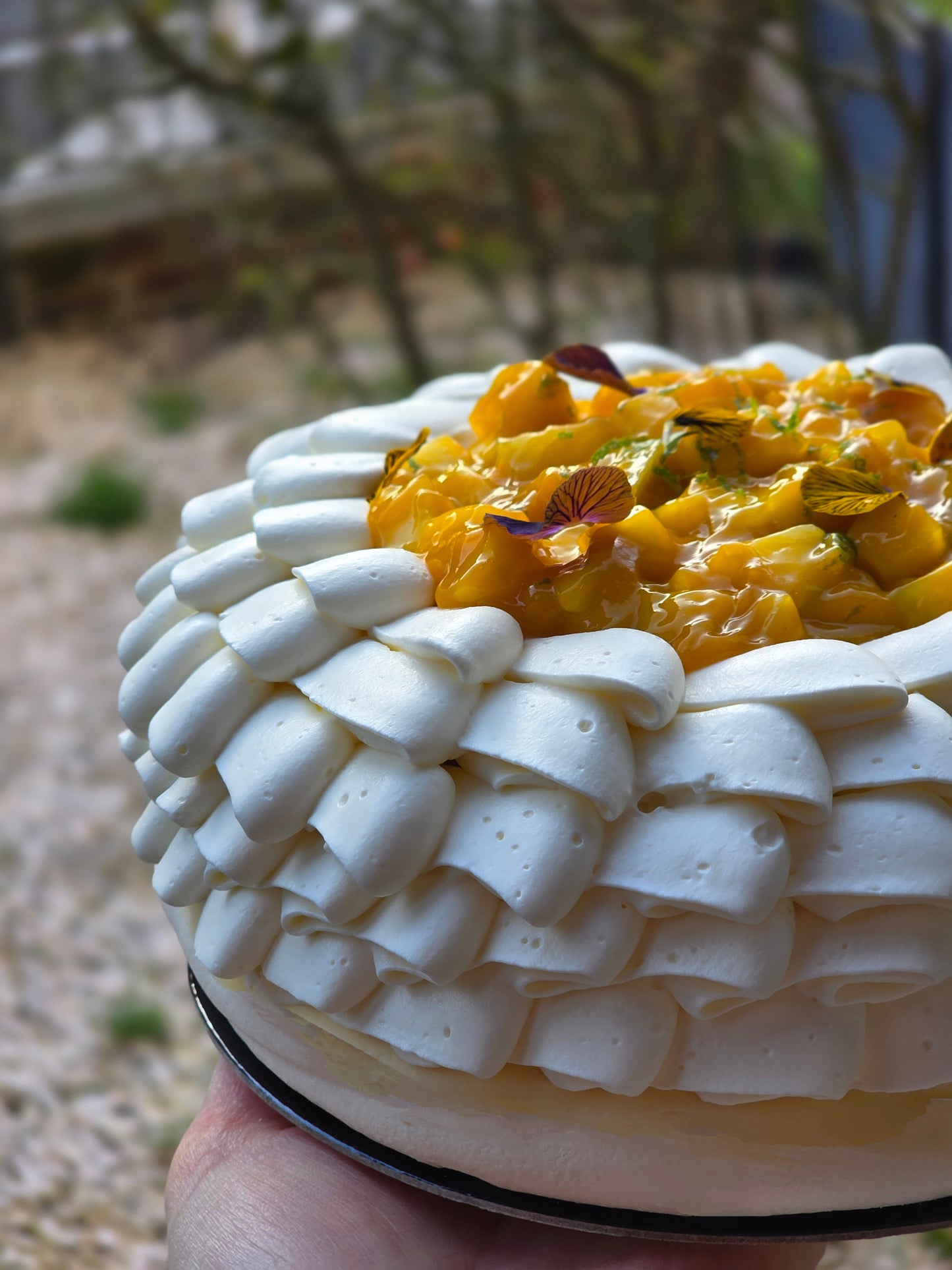 Edition Limitée Fête des grands mères♡ REEDITION