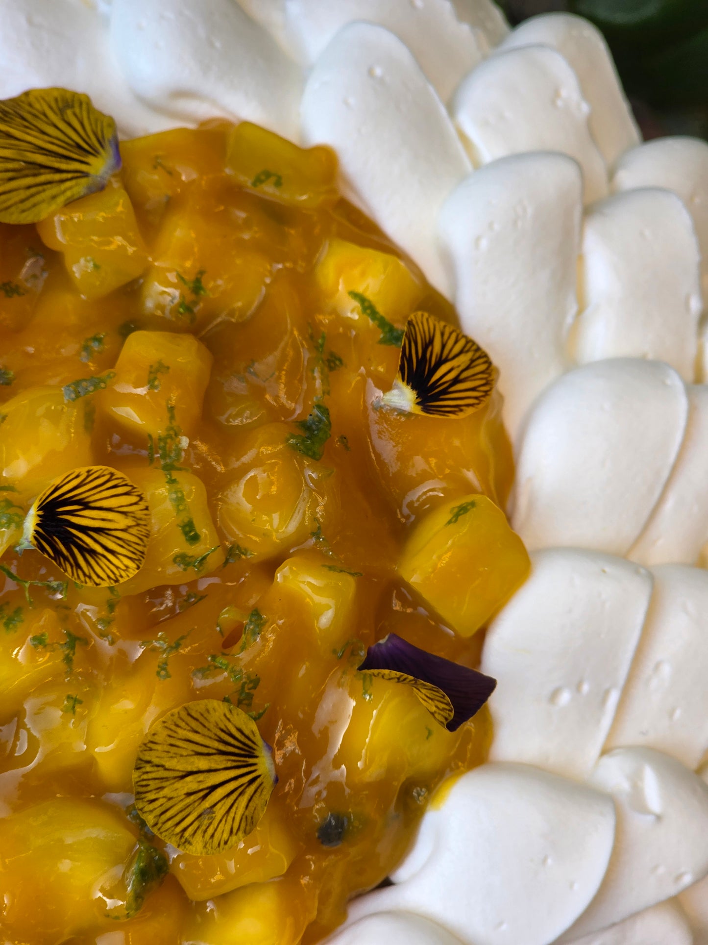 Edition Limitée Fête des grands mères♡ REEDITION